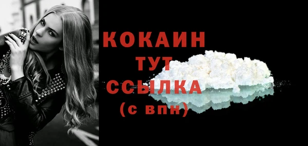 стаф Абаза