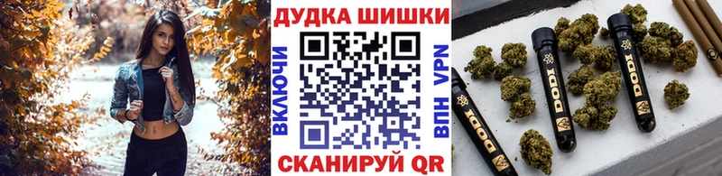 Бошки Шишки THC 21%  блэк спрут ССЫЛКА  Алейск  наркота 